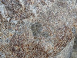 264349_10150256141199901_743705_n